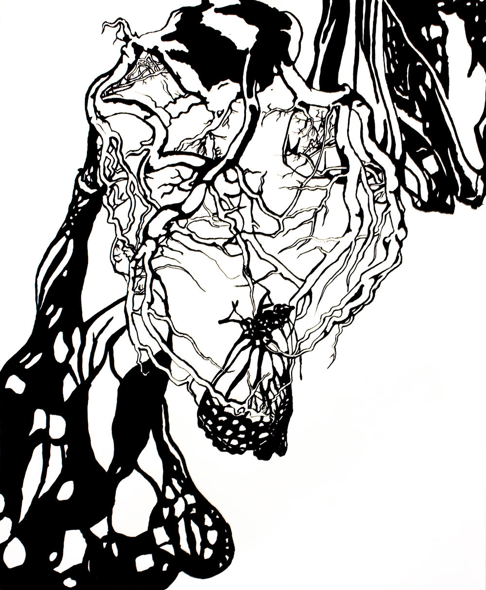 Chickenbone Series Chrysalis