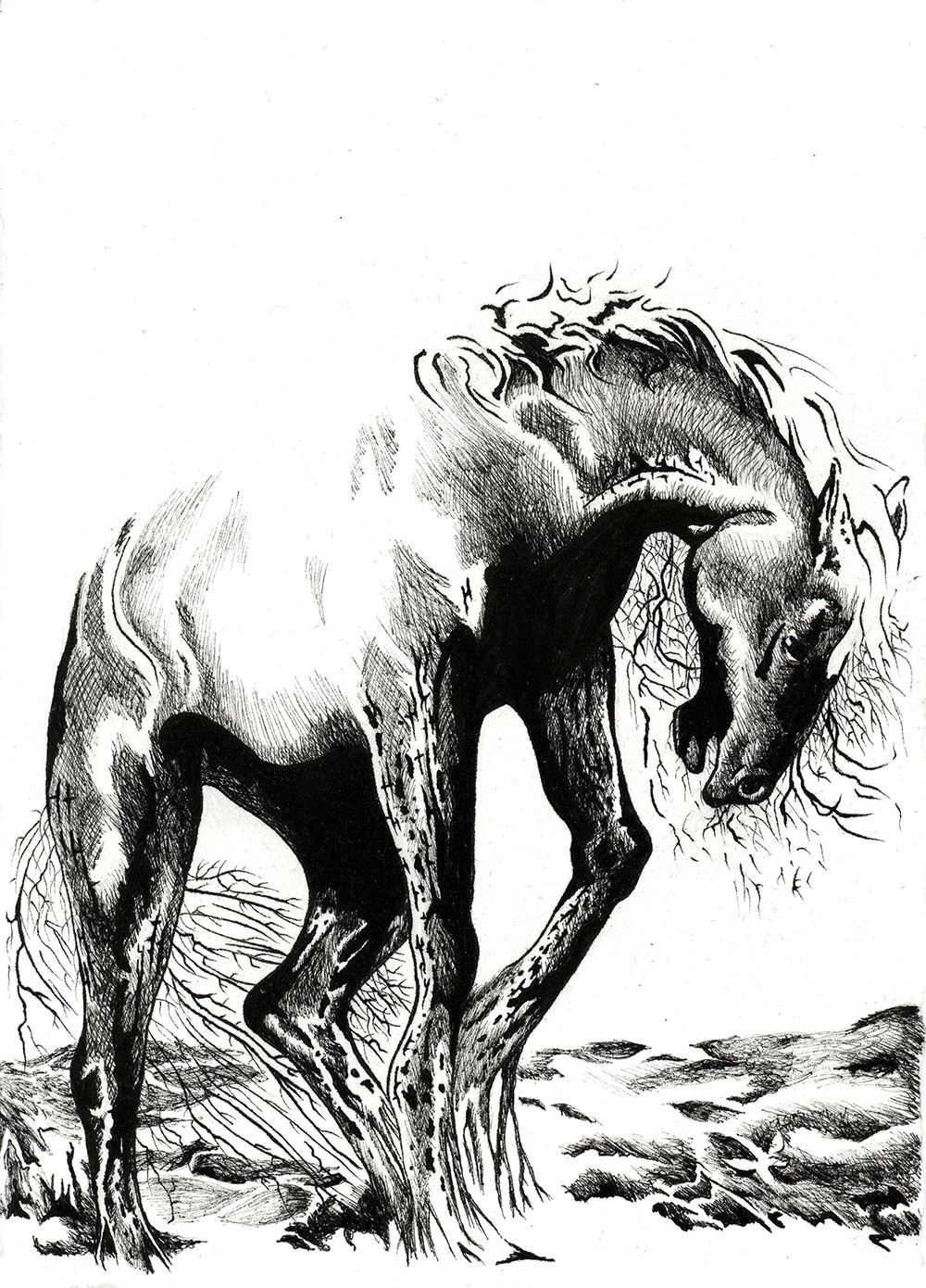 Failure Of Both Fight And Flight