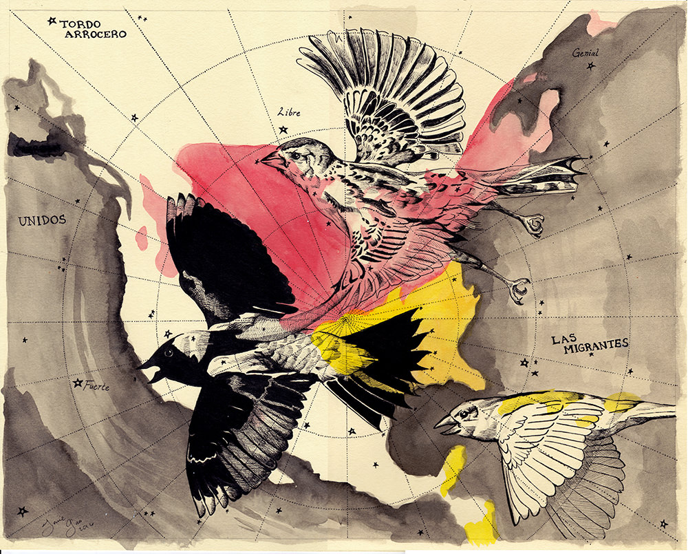 Las Migrantes