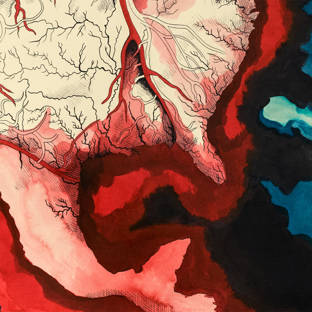 Bleeding Heart Detail 4