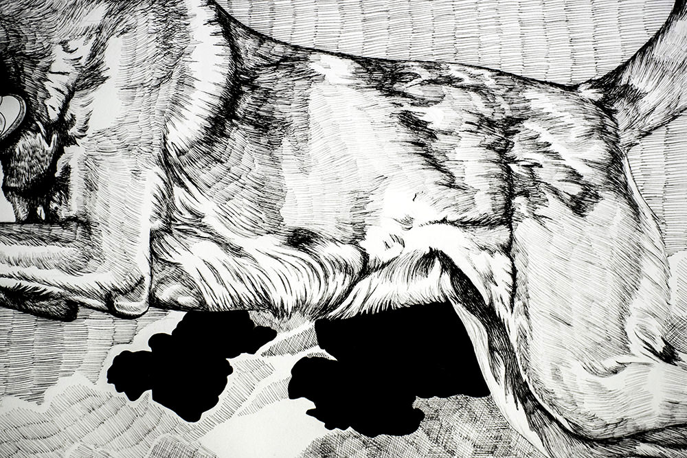 High Bred Detail 4