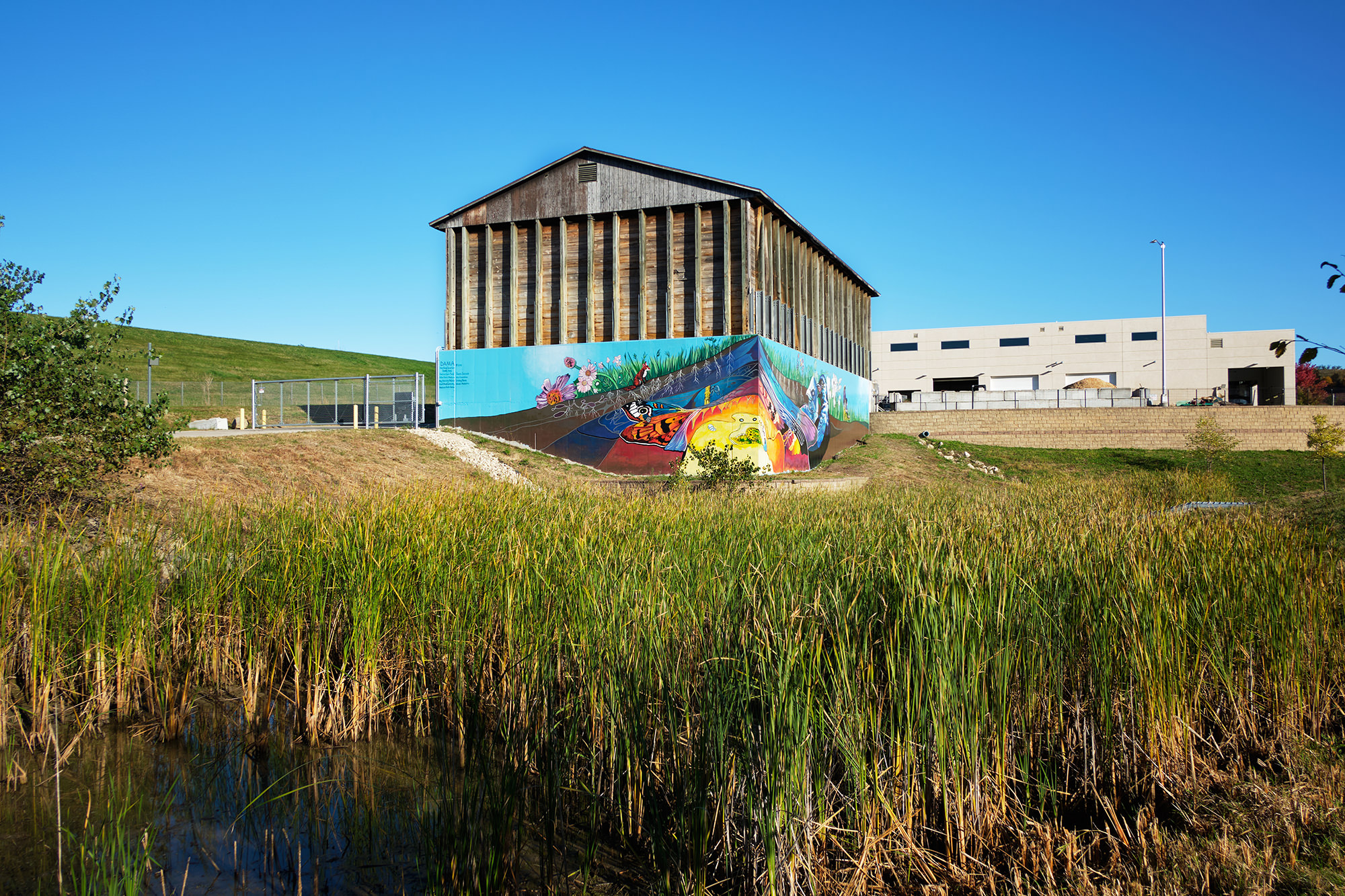 Community Mural Art 1