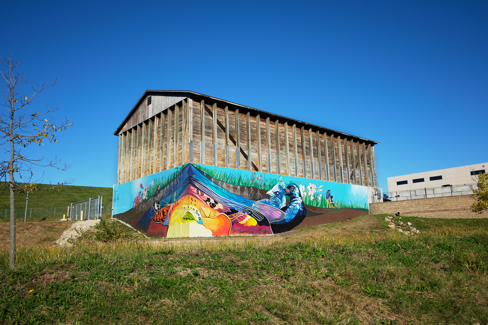 Community Mural Art 1