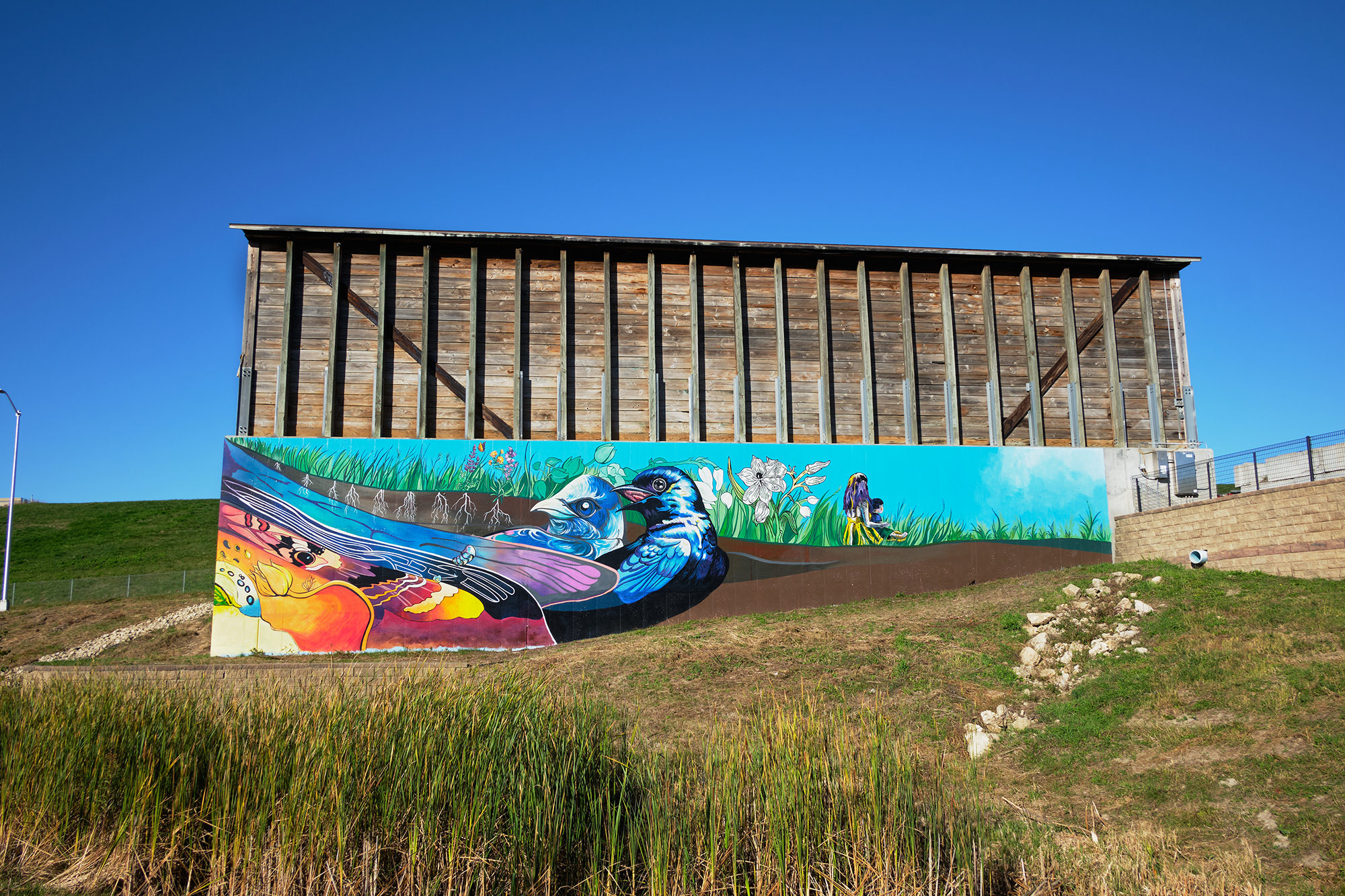 Community Mural Art 1