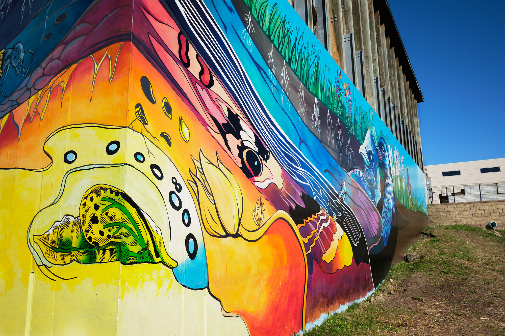Community Mural Art 1