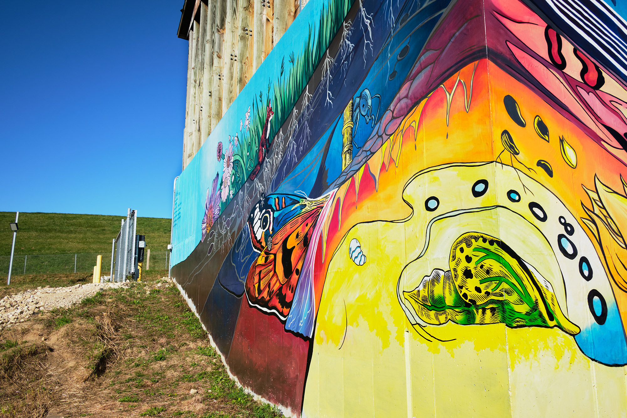Community Mural Art 1