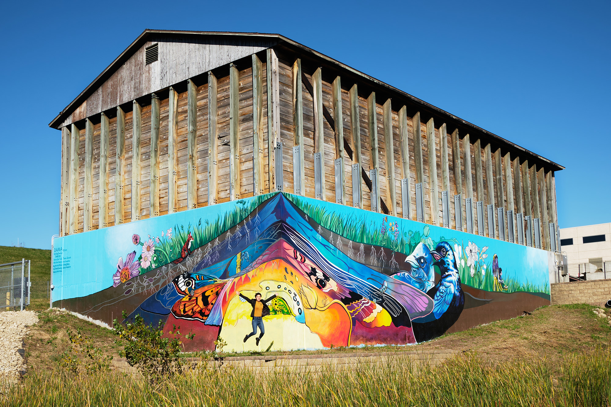 Community Mural Art 1