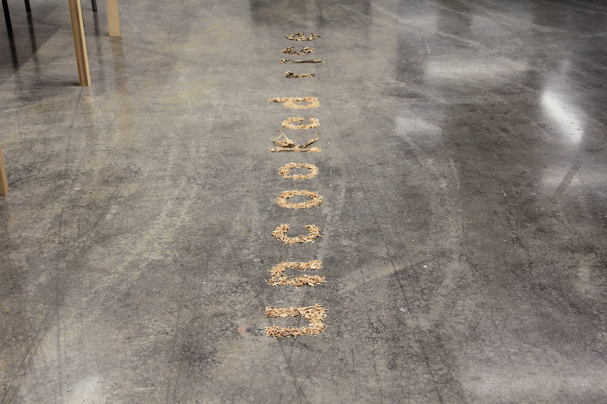 Art Installation Art World Disparity Women of Color in the Arts