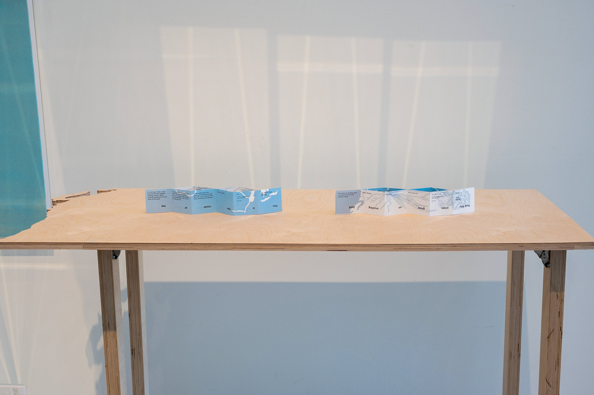 woodcut printmaking relief print installation interdisciplinary asian american women artists