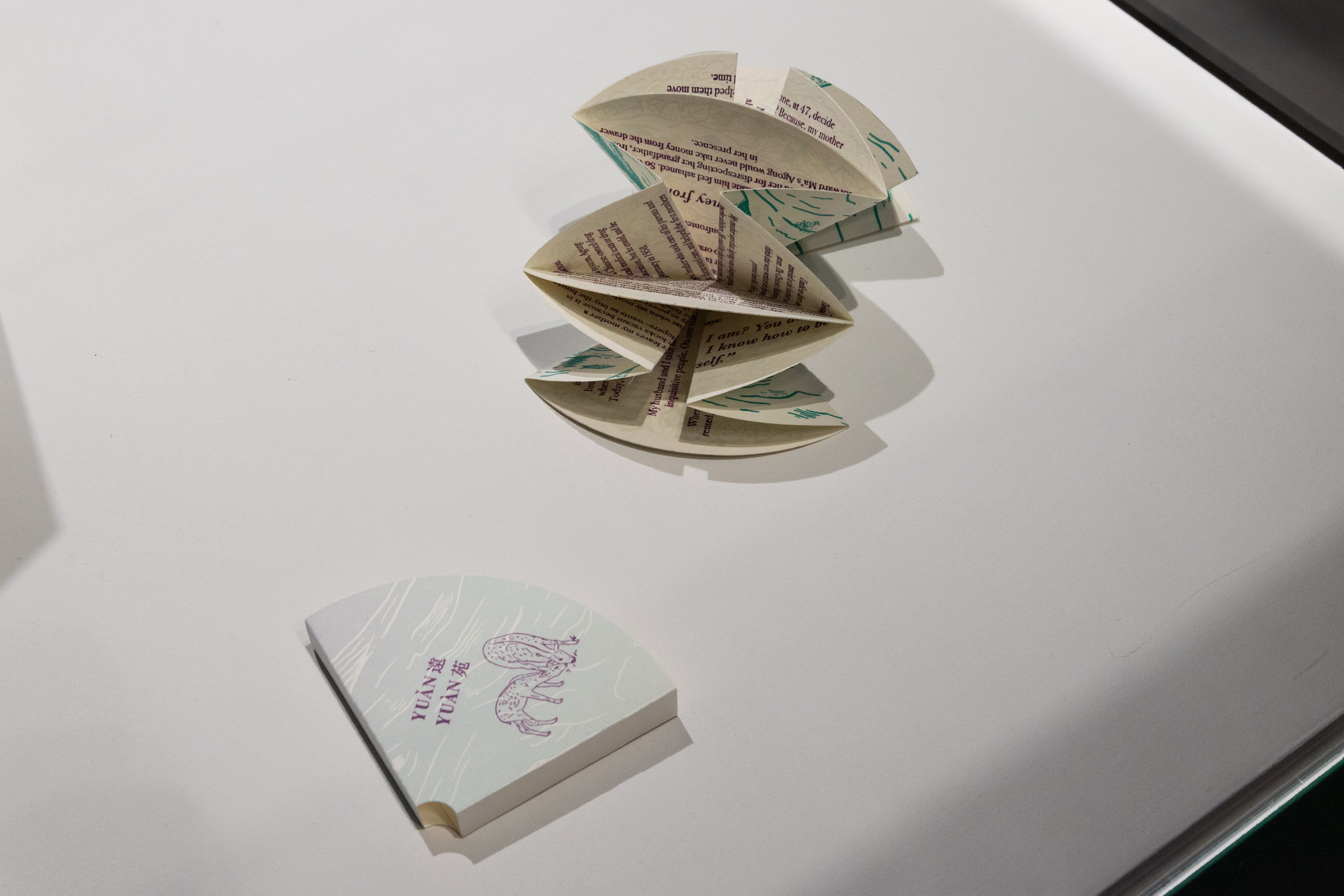 Cover sleeve for artist's book, plus artist's book fanned open resembling a flower