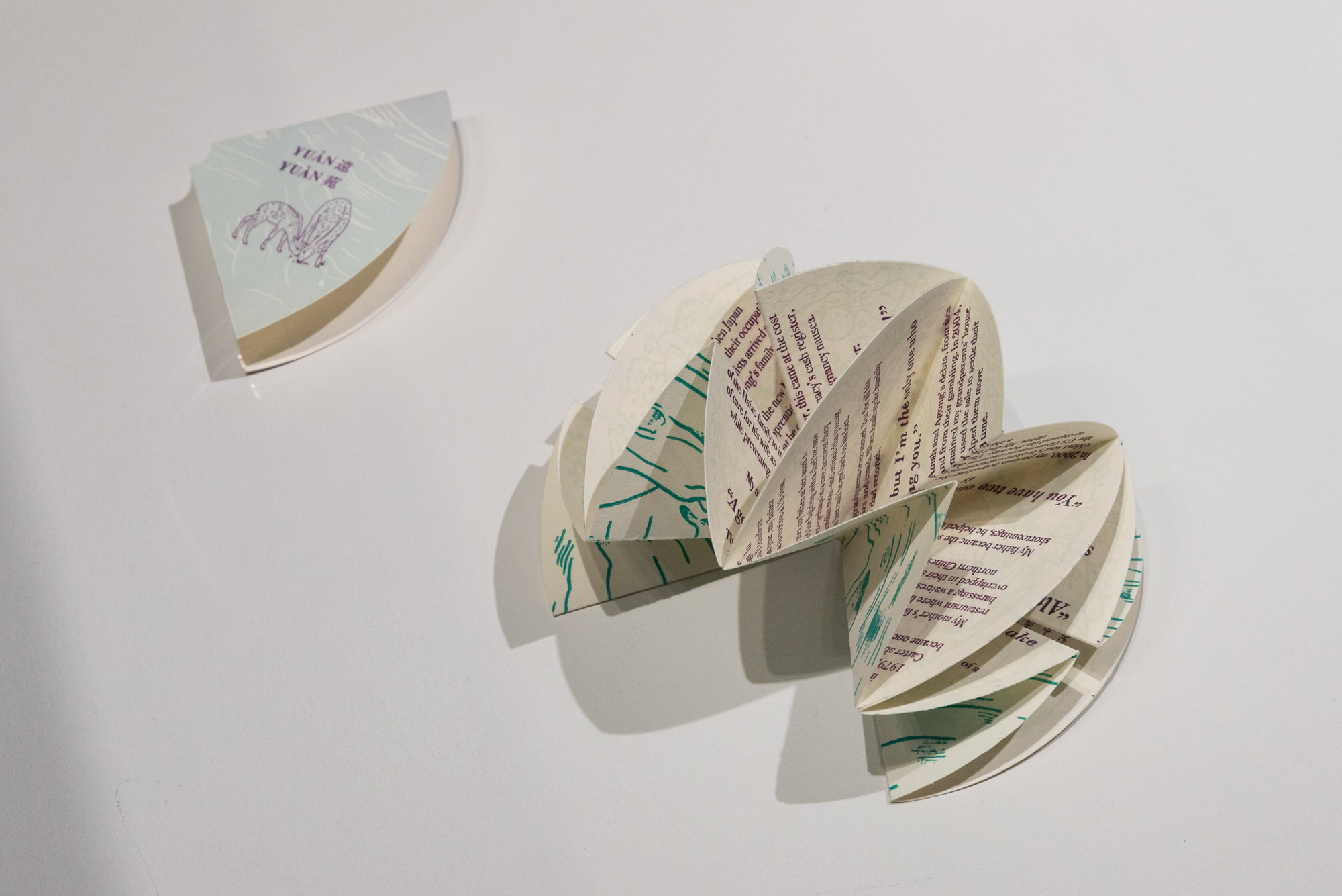 Cover sleeve for artist's book, plus artist's book fanned open resembling a flower