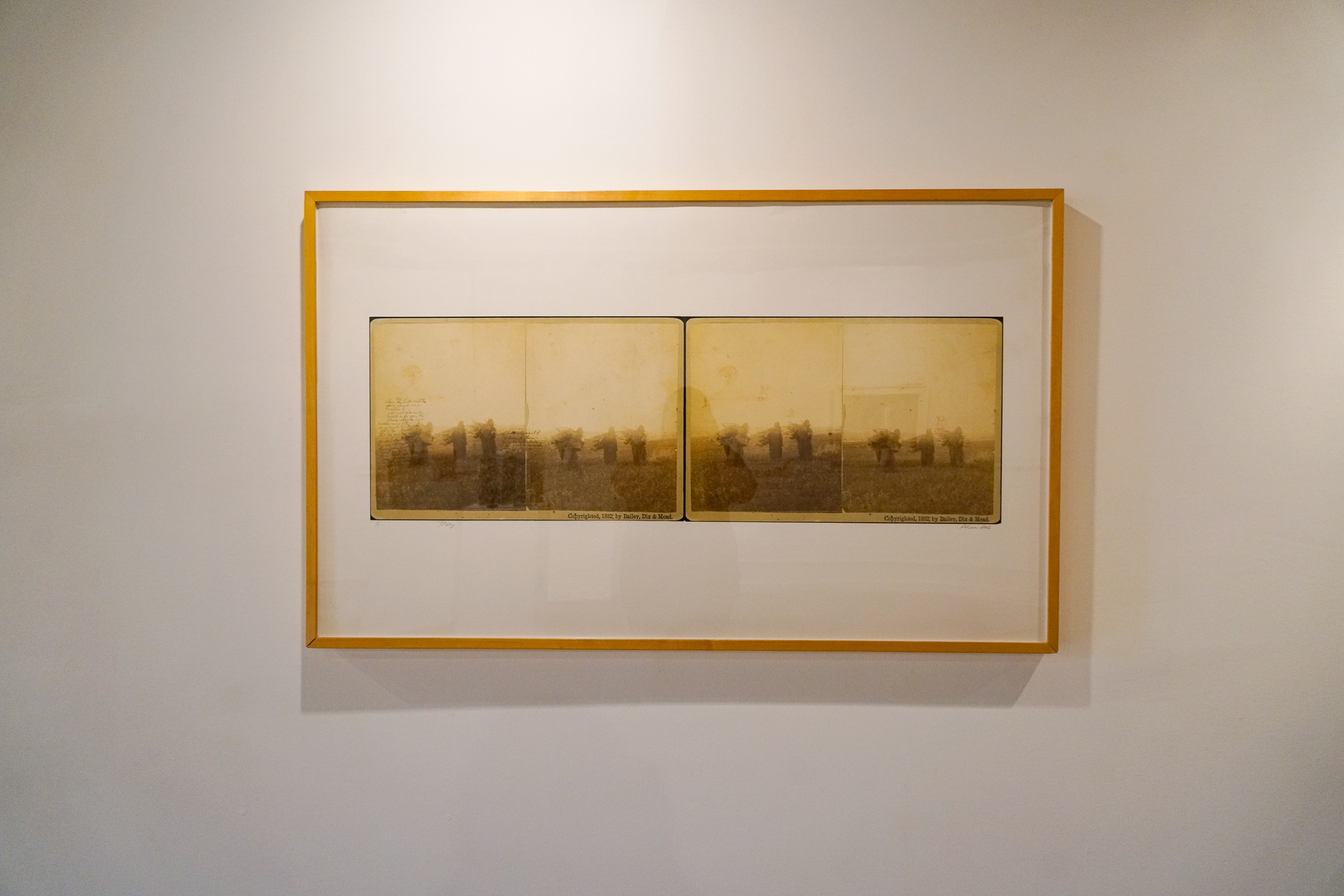 Lynne Allen printmaker show in Madison WI Art Lit Lab