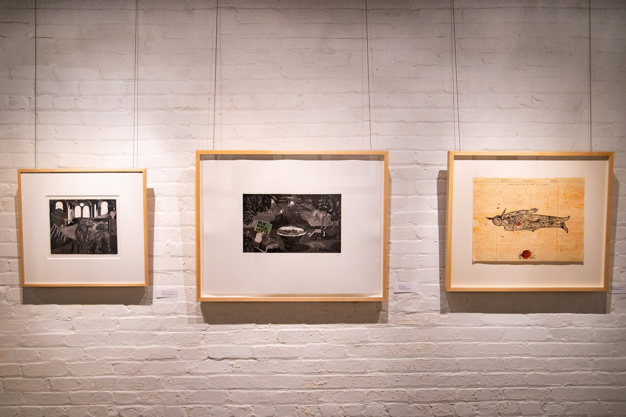 Lynne Allen printmaker show in Madison WI Art Lit Lab