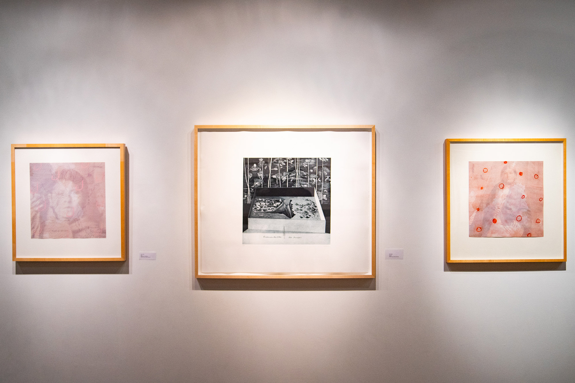 Lynne Allen printmaker show in Madison WI Art Lit Lab