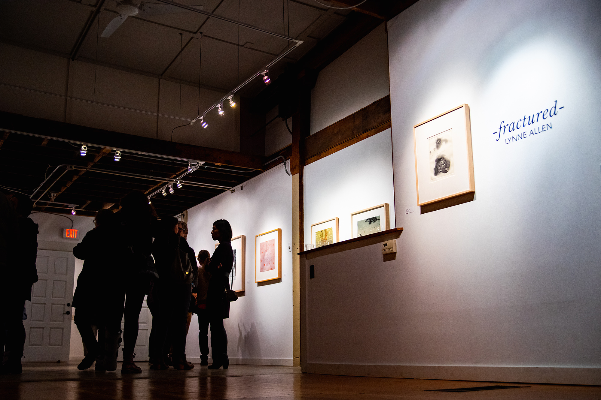 Printmaking Show Madison WI Lynne Allen