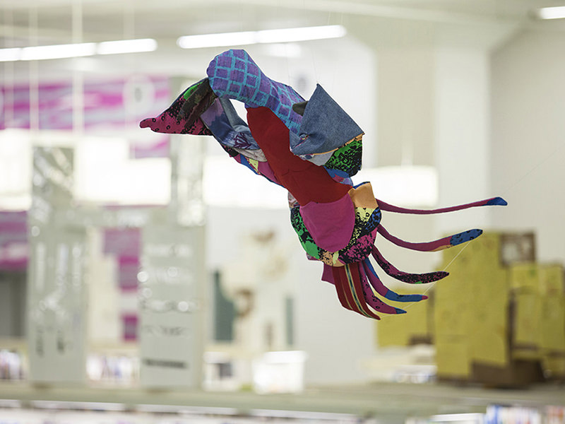 Community Project About Migratory Birds