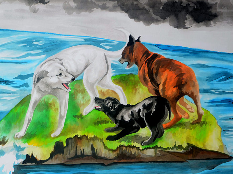 Ink Drawing About Domestication Versus Freedom